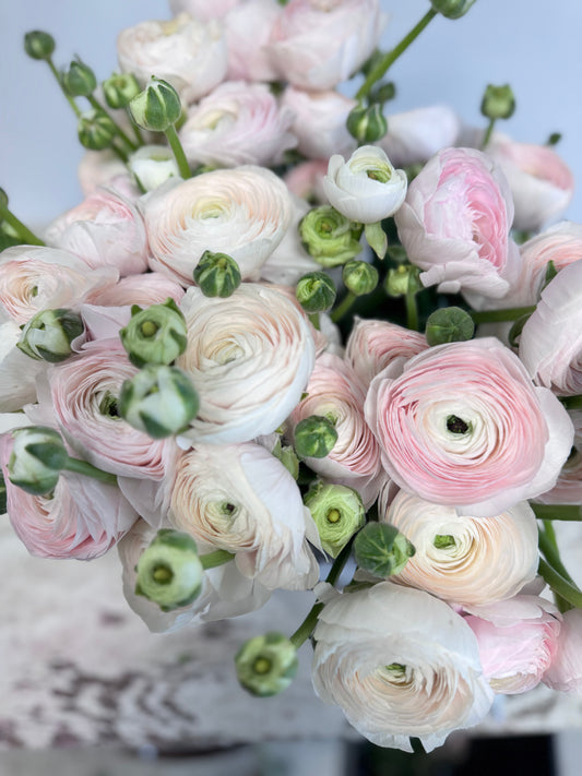 Ukens blomst - cloni ranunkler Kun tilgjengelig i butikk ut helgen.